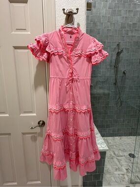 CeliaB Pink Ruffled Maxi Dress with Button Front